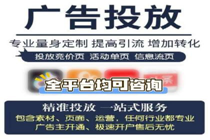 某品牌通过SEM优化实现品牌增长的故事
